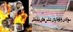 1003657_188750581285189_1396528755_n