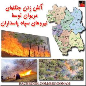 1010276_194314830728764_1072430458_n