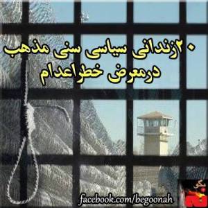 931174_186049494888631_1663332924_n