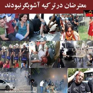 960049_184776451682602_1117345312_n