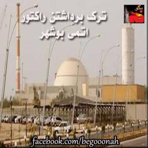 969021_186113554882225_523847945_n