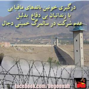 969021_186113554882225_523847945_n