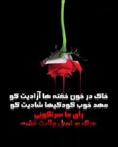 971998_190564517770462_1442494400_n