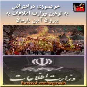 993977_186898608137053_1064218526_n