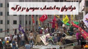 998393_191653120994935_773657657_n