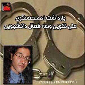 998668_194585120701735_1882551188_n