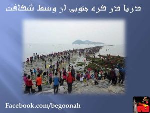 1000775_197903963703184_126888459_n