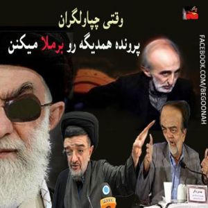 1001213_202464939913753_670718484_n