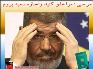 1001384_173731266143216_462639792_n