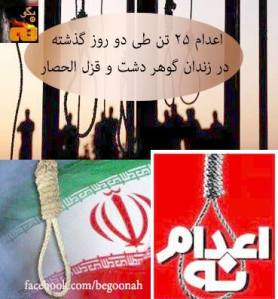 1010533_197508703742710_514308911_n