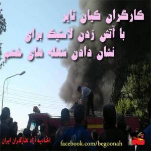 1010764_197115523782028_546178_n