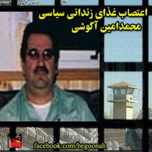 1017365_196755277151386_1241316417_n