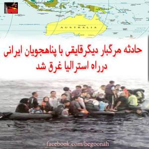 1069125_203975186429395_1689251856_n