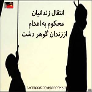 14781_201800479980199_1833674537_n