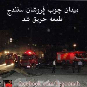 17591_199922250168022_4618430_n