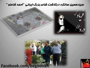 3079_204471416379772_1127344838_n