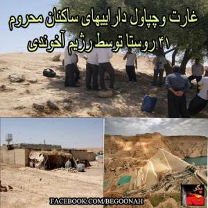 479845_205981569562090_1355870726_n