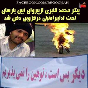 533649_205767406250173_1370480531_n