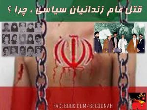 557866_205741859586061_413237762_n