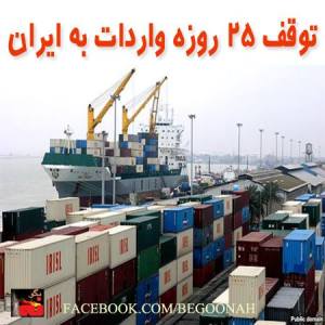 943651_205541132939467_848637540_n