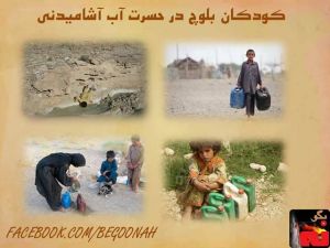 970969_203591223134458_631830669_n