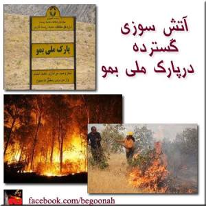 971146_203972709762976_964478606_n