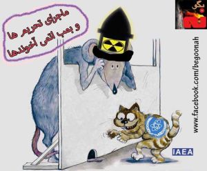 971179_203901623103418_60180942_n