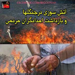 971888_202757273217853_817068532_n