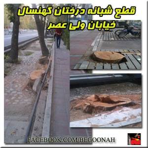 993596_201426106684303_140158370_n