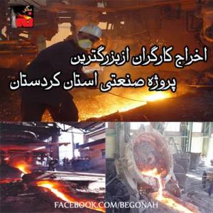 995121_199925423501038_2143754115_n