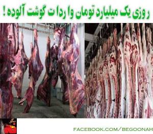 1003375_180304112152598_754122103_n