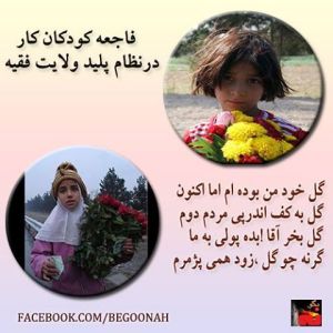 1004086_207737249386522_1010755597_n