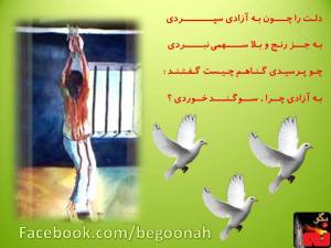 1078127_553918317977057_1915199039_n