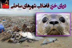 1081064_511654722243285_1990488530_n