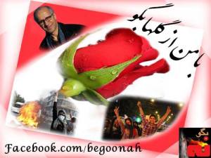 1081393_553150734720482_1302139395_n