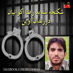 1146656_211322659027981_36288563_n