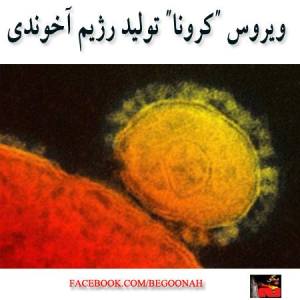 1151008_209726279187619_1642374984_n