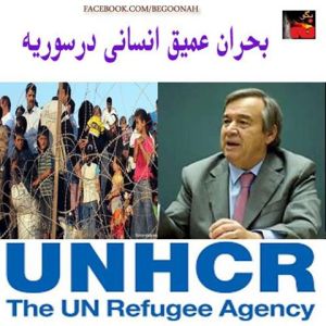 1157560_215233901970190_423690779_n