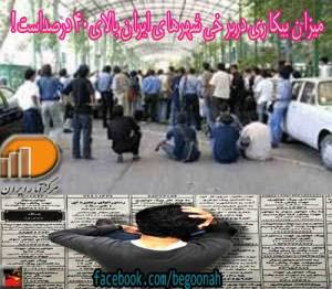 1173654_179988202184189_929850488_n