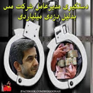 1184925_213206292172951_462572079_n