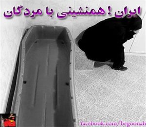 1185270_181295782053431_1787404030_n