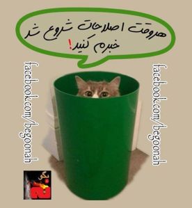 14460_208410902652490_634721320_n