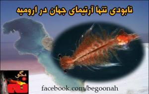 1723_211803248979922_1714868136_n