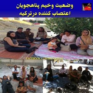 529416_214311788729068_779047237_n