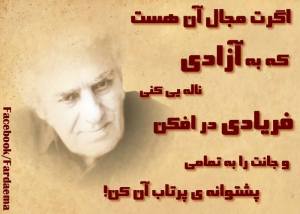 533734_506378956104743_1729012732_n