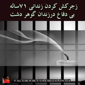 547427_207715802722000_1824909777_n