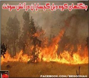 555034_184005395115803_192337039_n