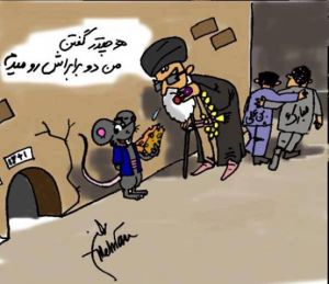 555034_184005395115803_192337039_n