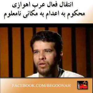 581722_208294519330795_155738765_n