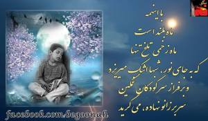 954681_210078632485717_1850657926_n